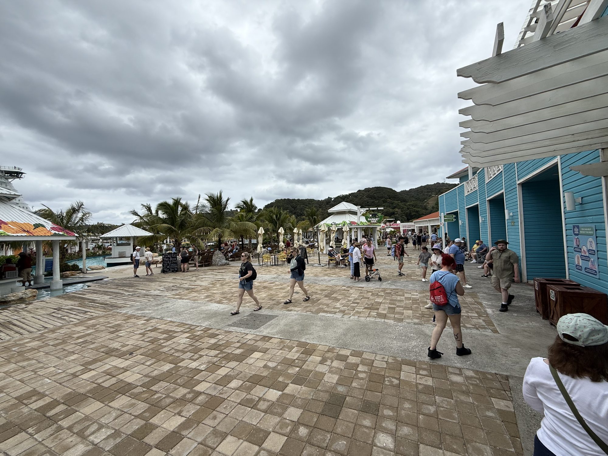 IMG_3514.jpg