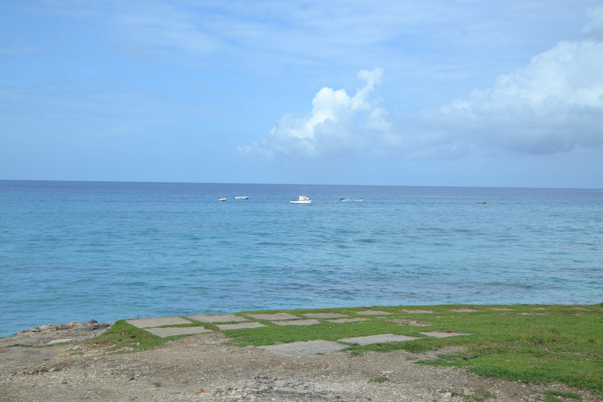 DSC_0049.jpg