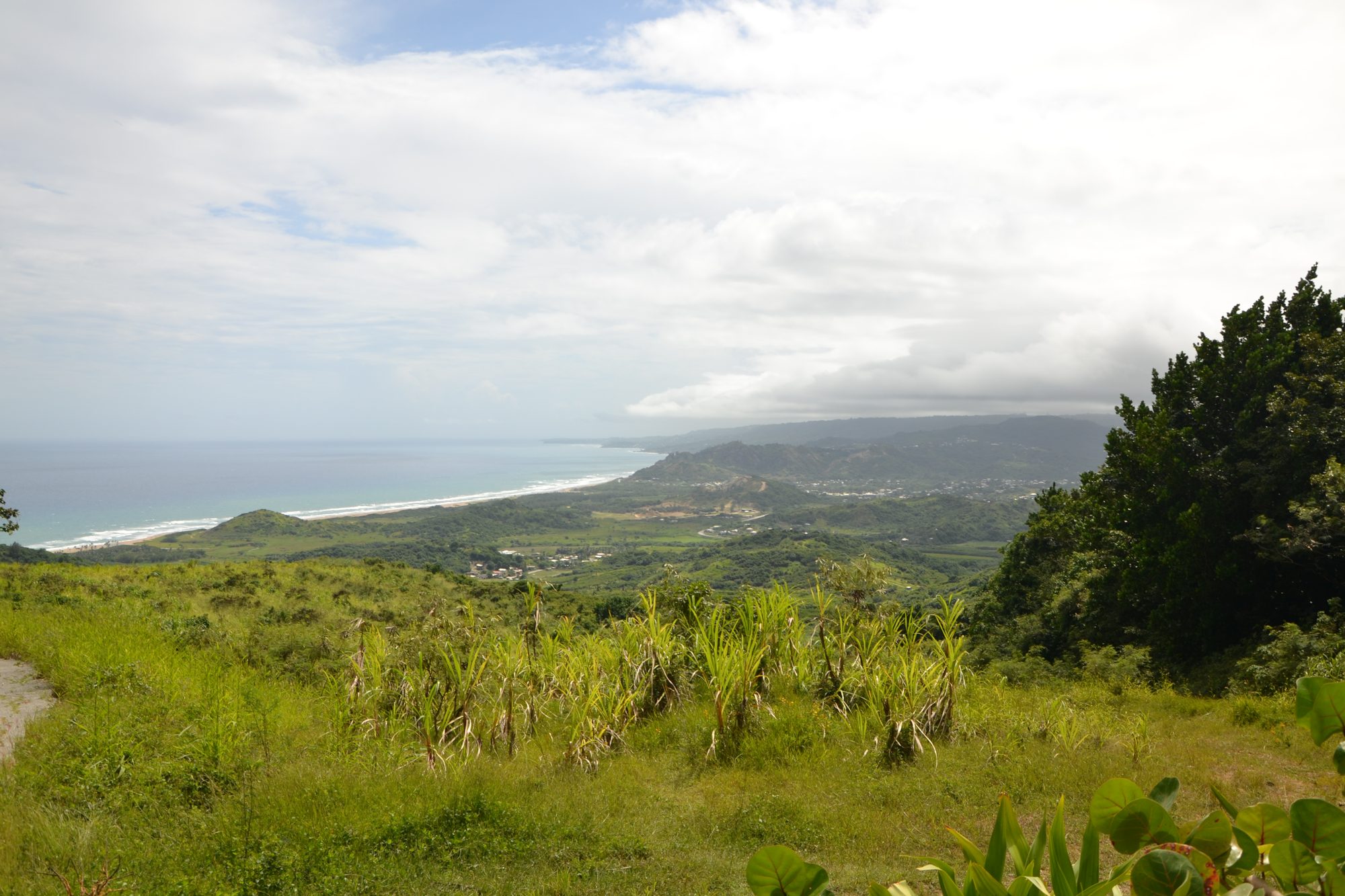 DSC_0087.jpg