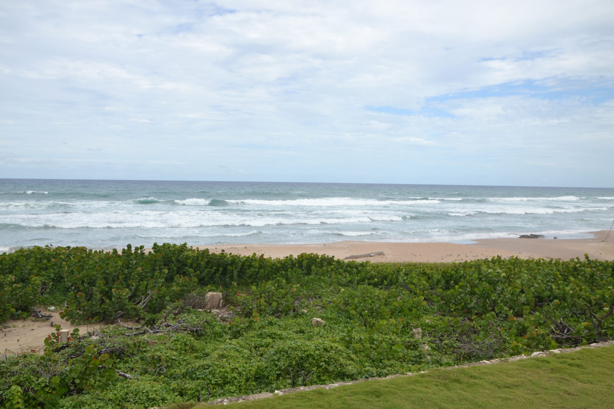 DSC_0111.jpg