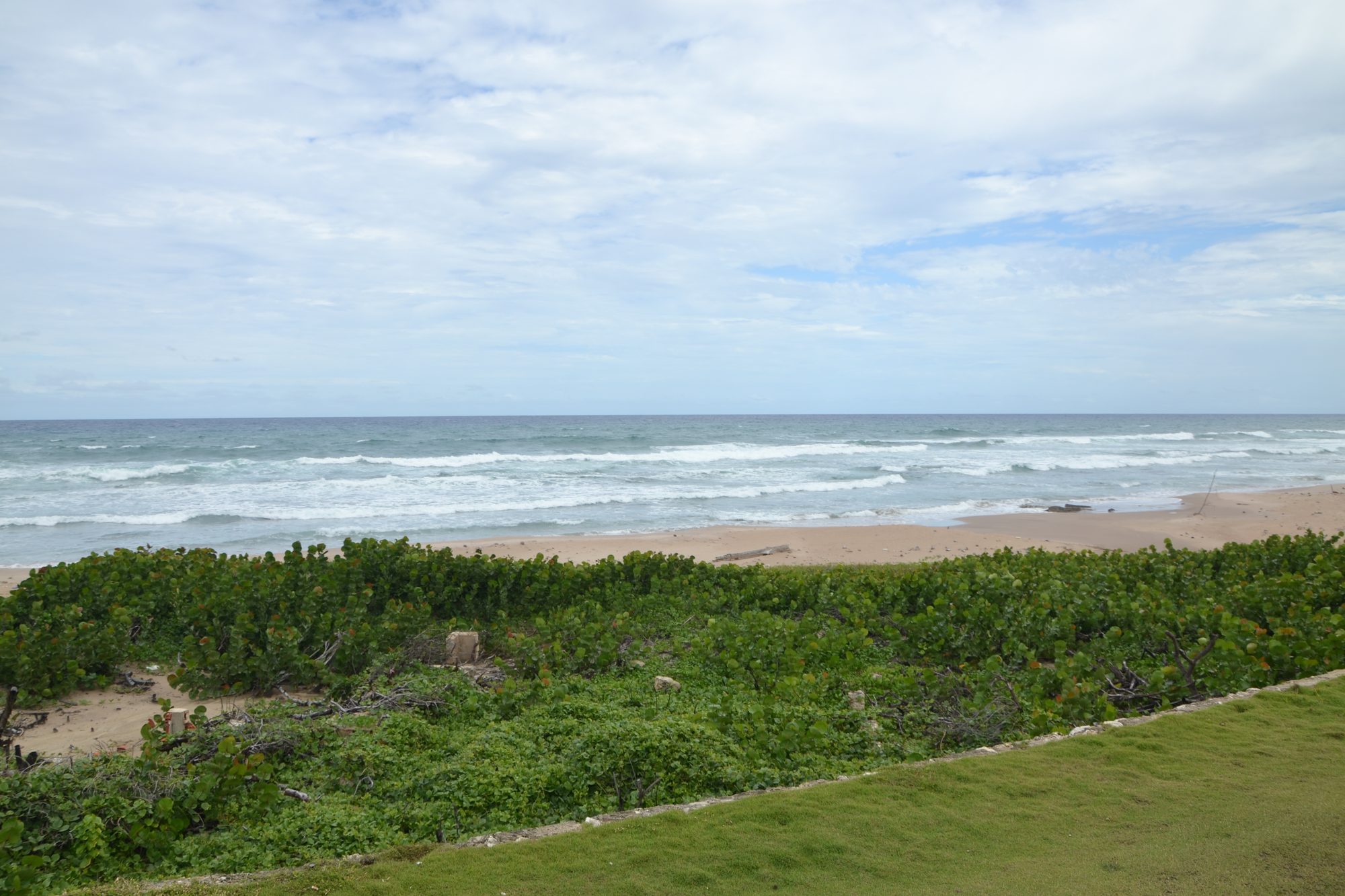 DSC_0112.jpg