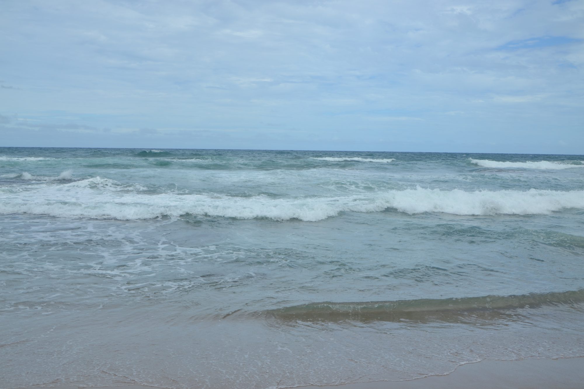 DSC_0125.jpg