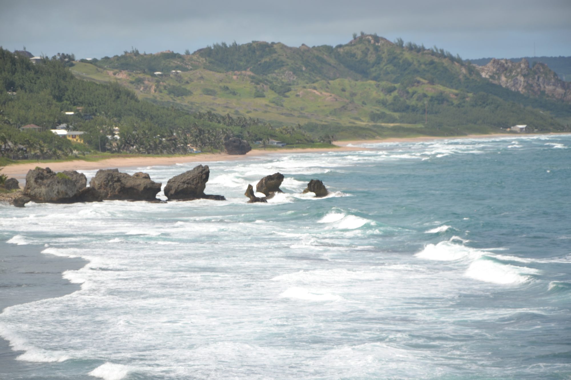 DSC_0162.jpg
