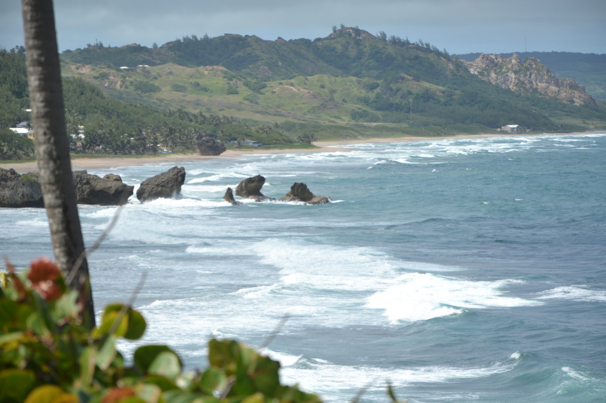 DSC_0168.jpg