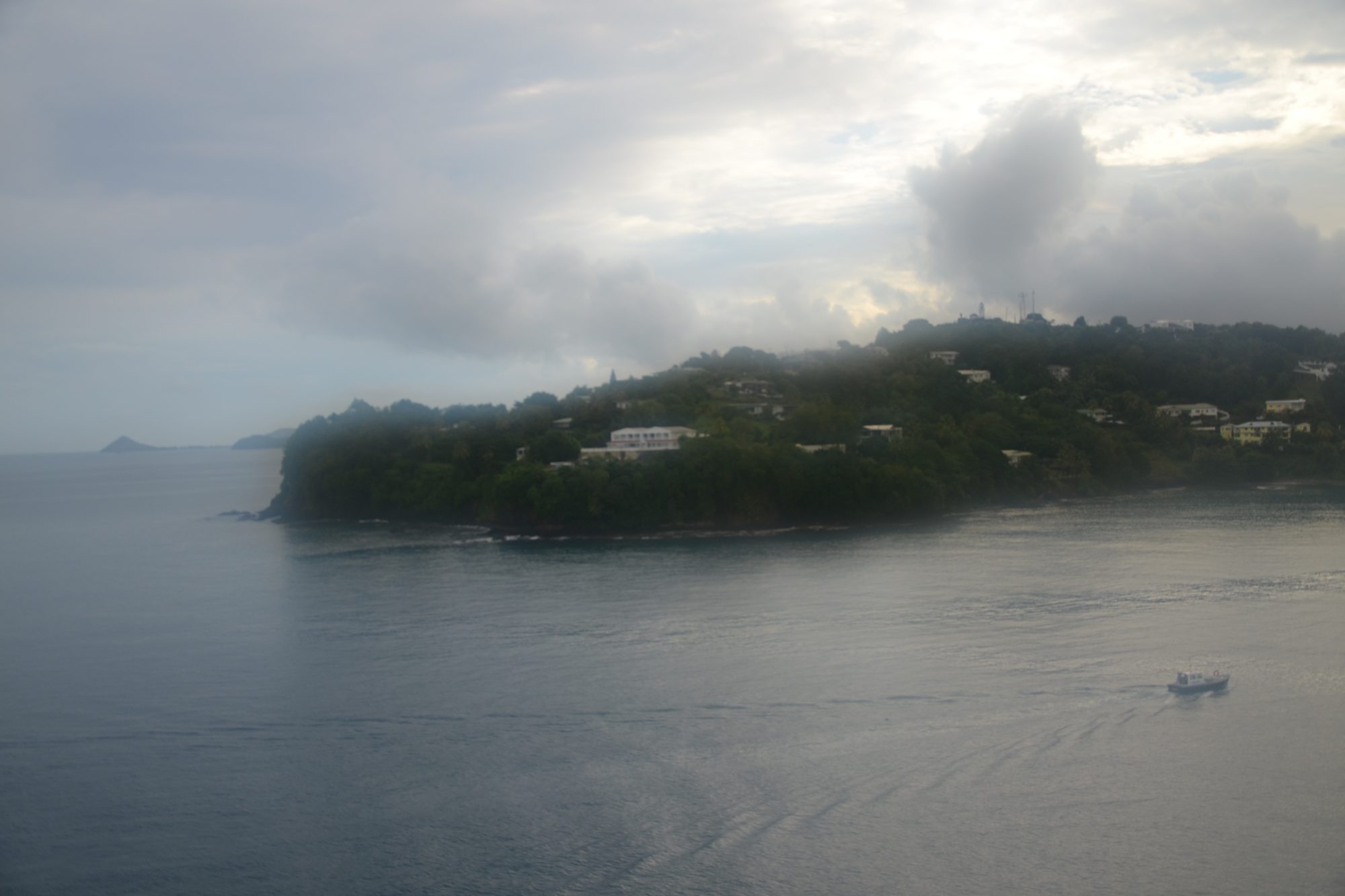 DSC_0201.jpg