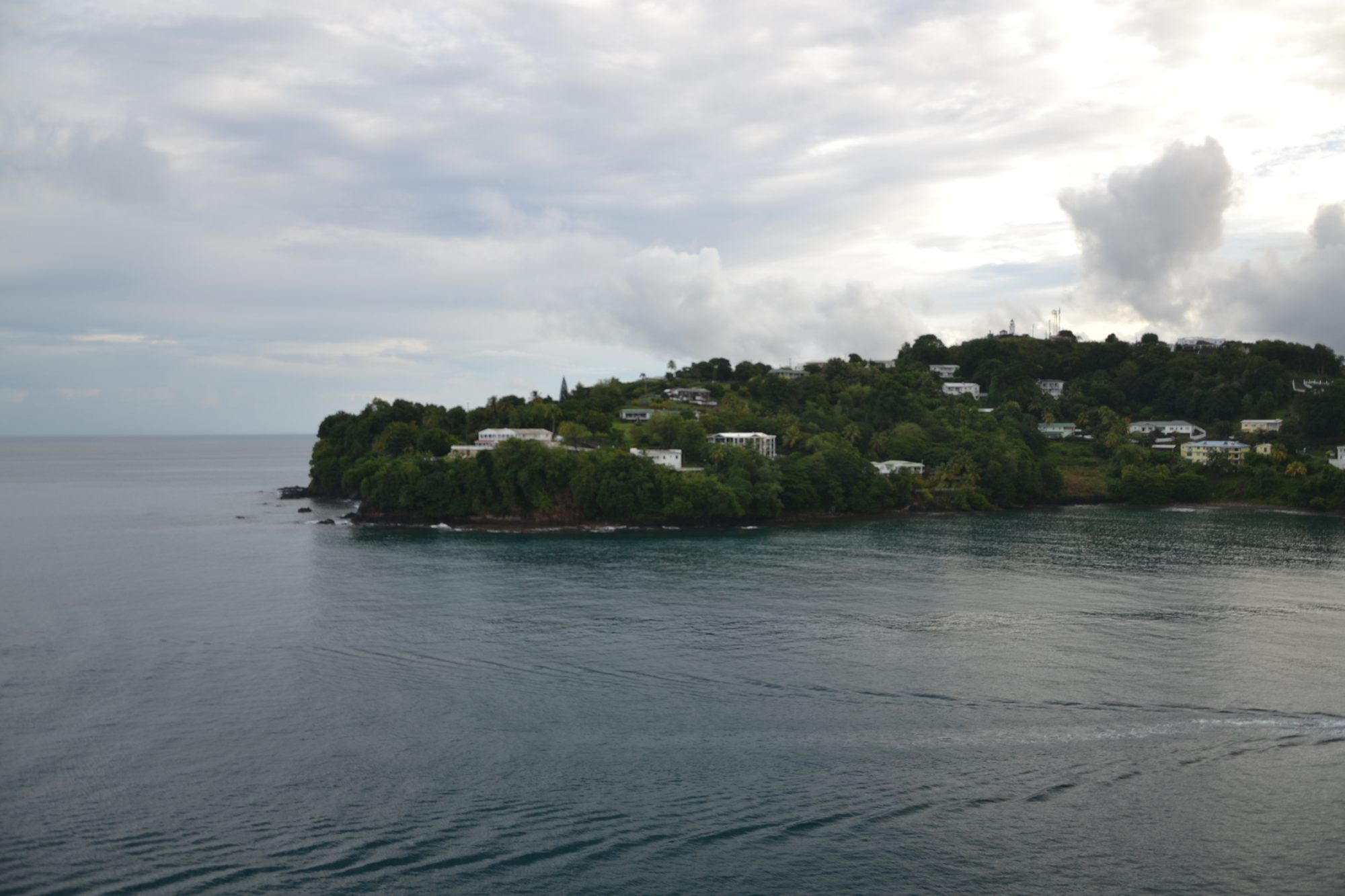 DSC_0203.jpg