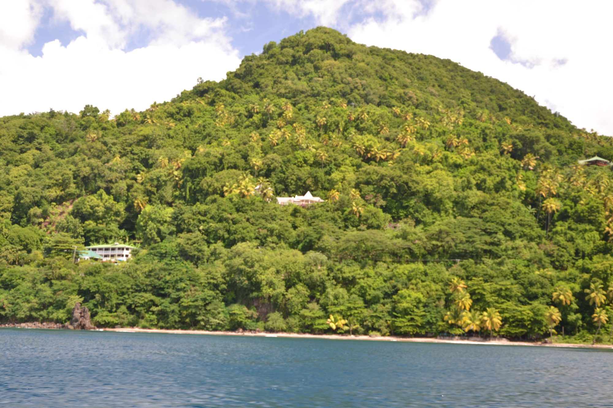 DSC_0303.jpg