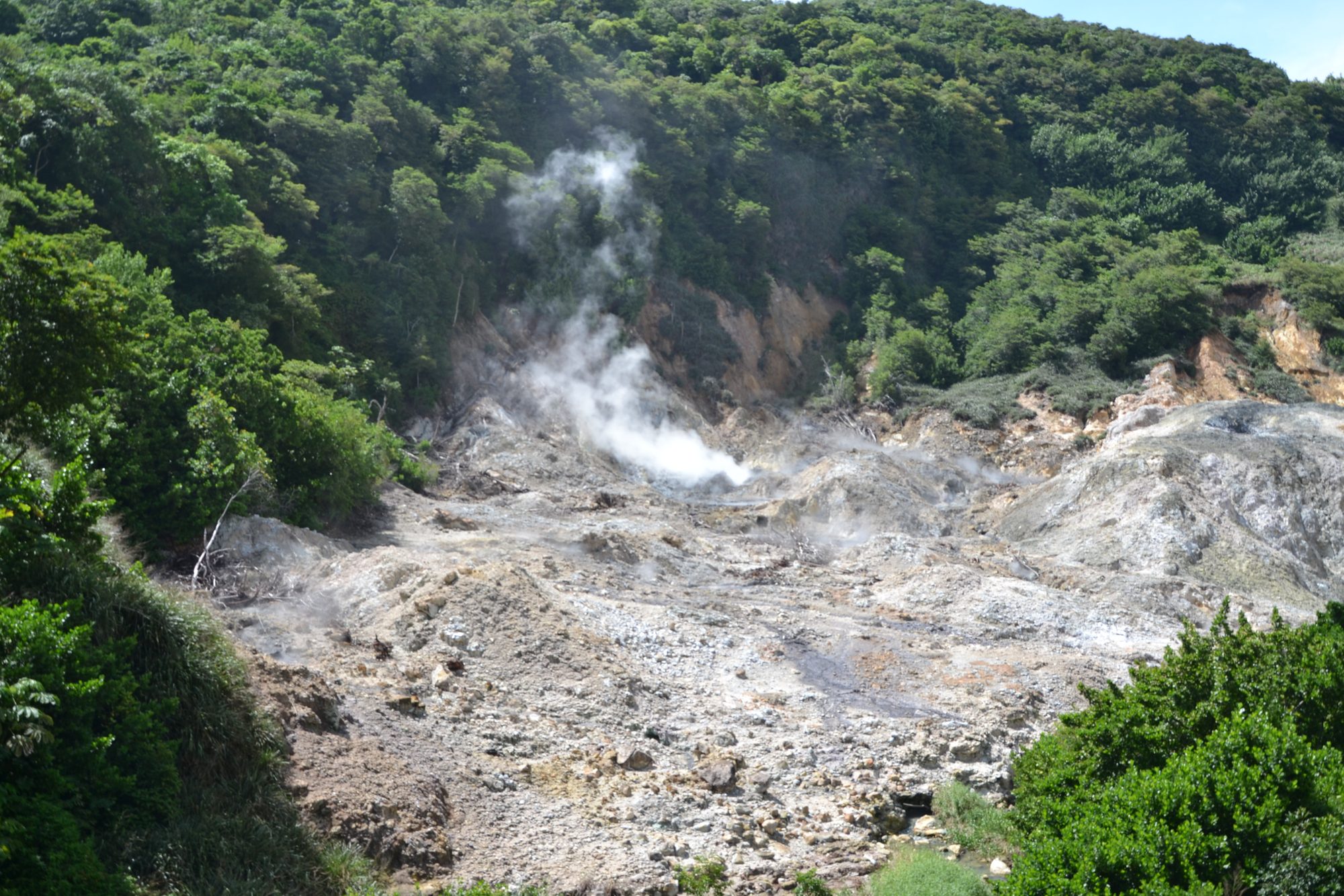 DSC_0308.jpg