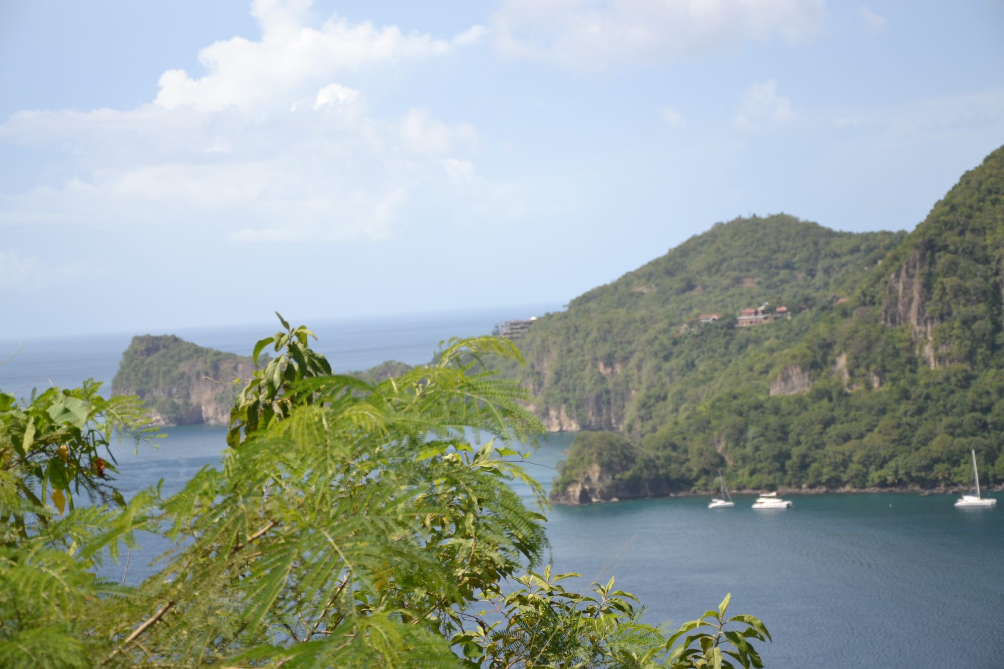 DSC_0340.jpg