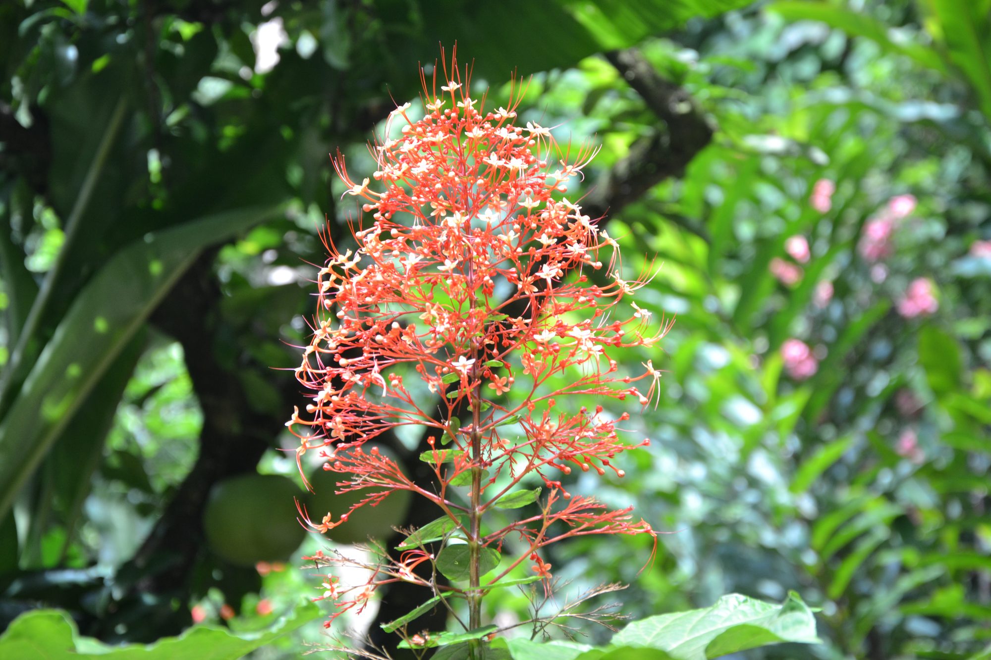 DSC_0369.jpg