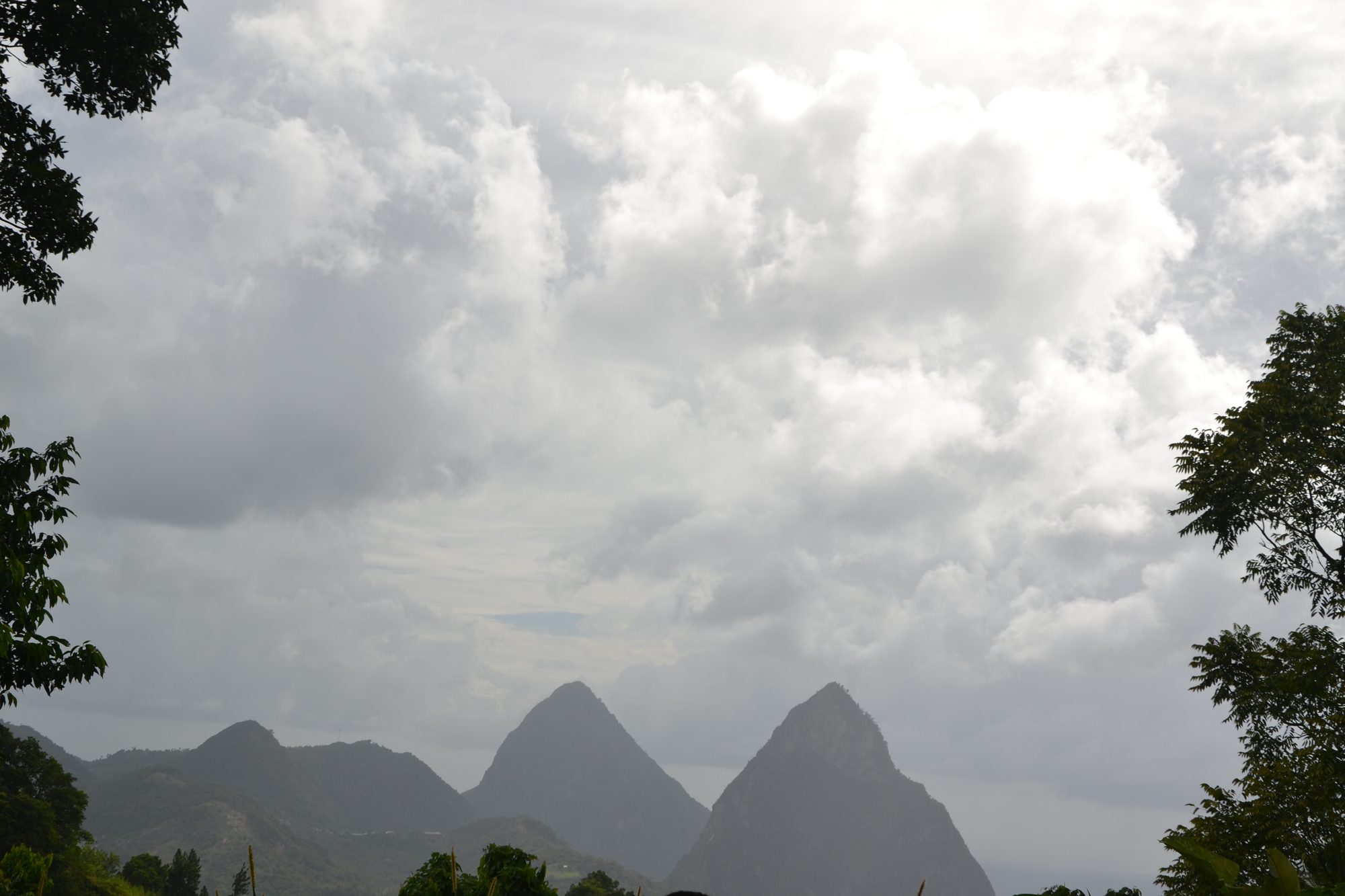 DSC_0381.jpg