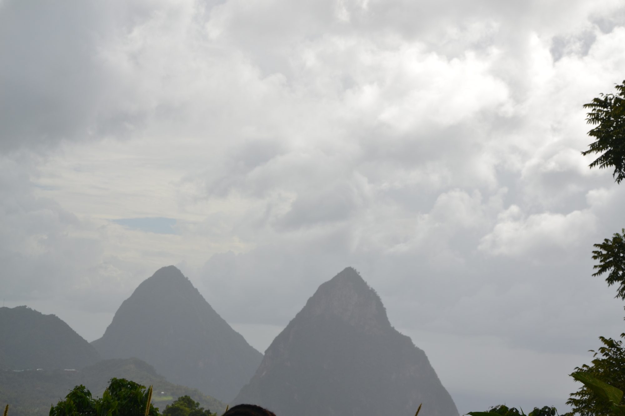 DSC_0383.jpg