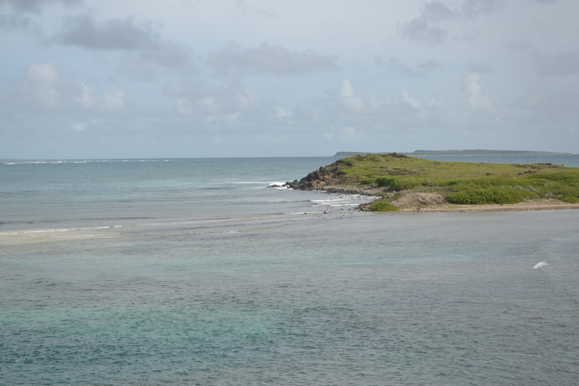DSC_0416.jpg