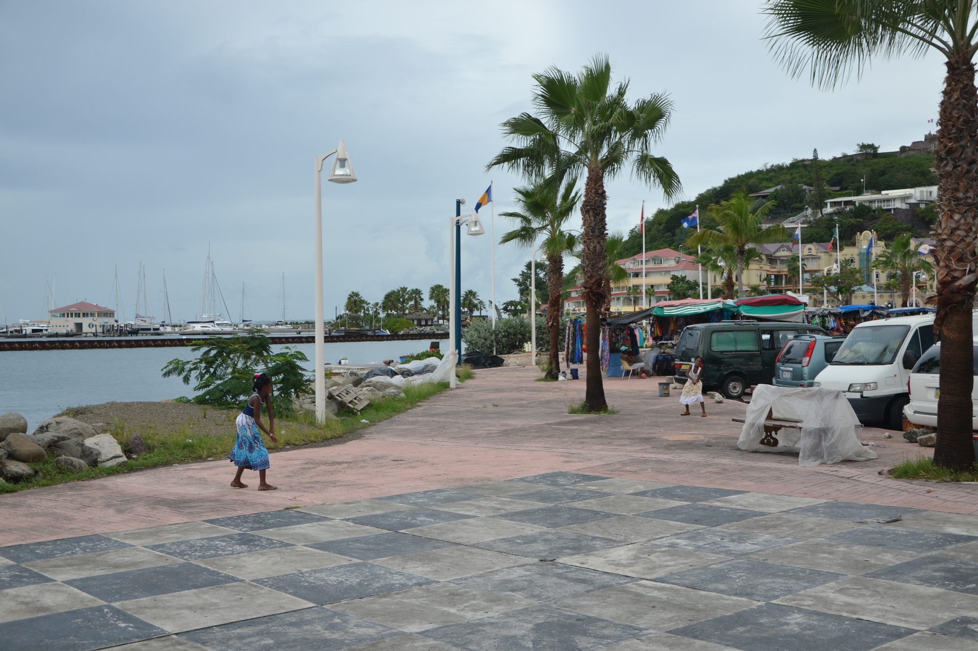 DSC_0501.jpg