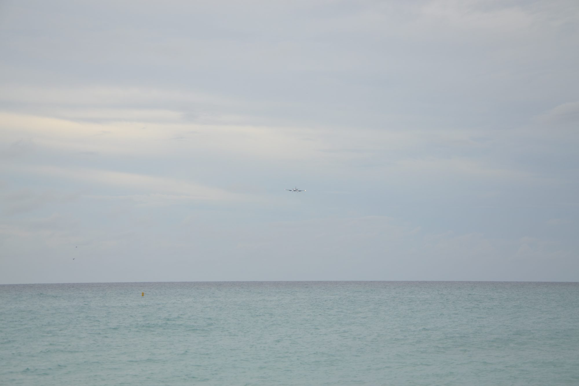 DSC_0633.jpg