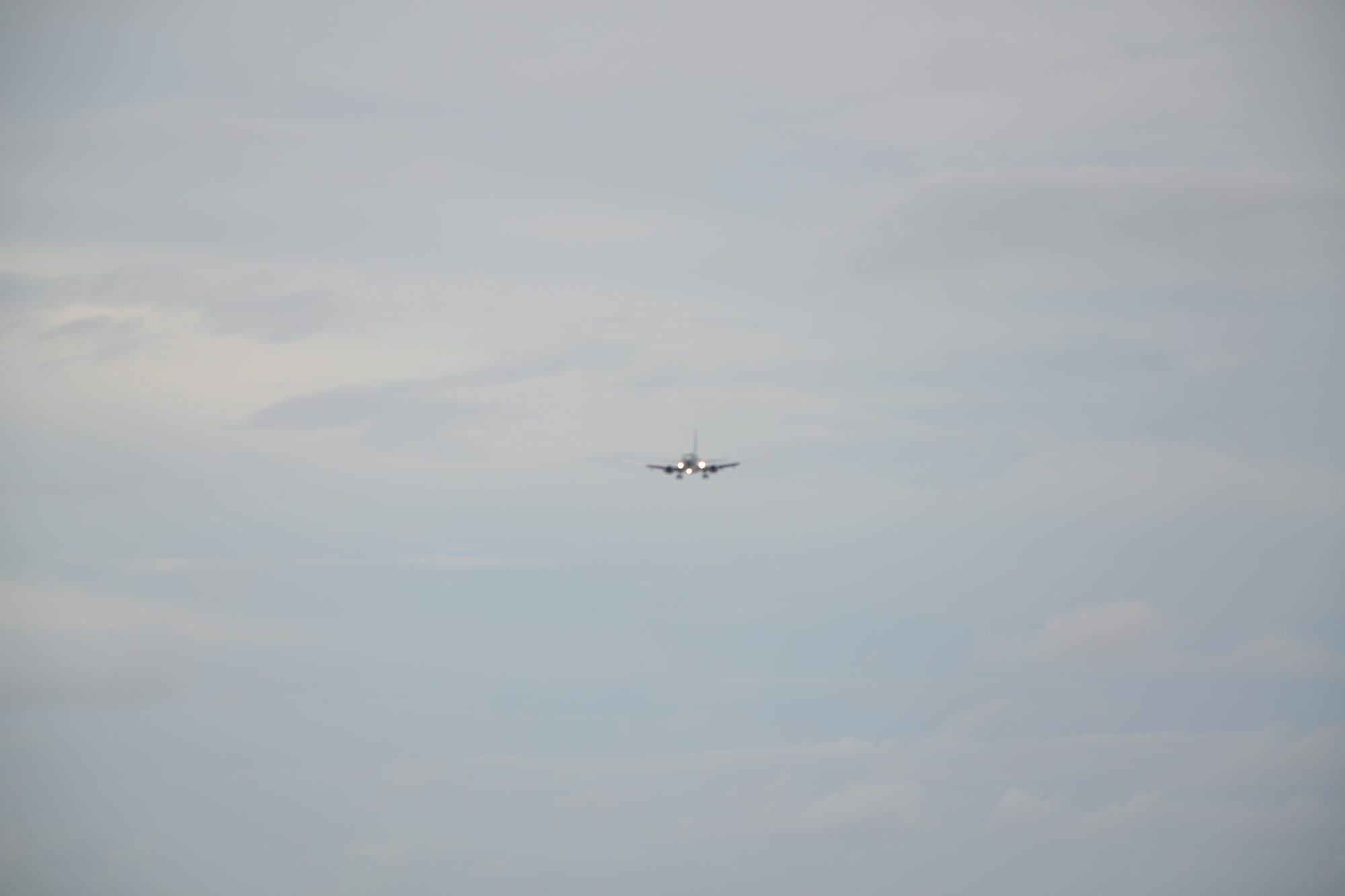 DSC_0646.jpg