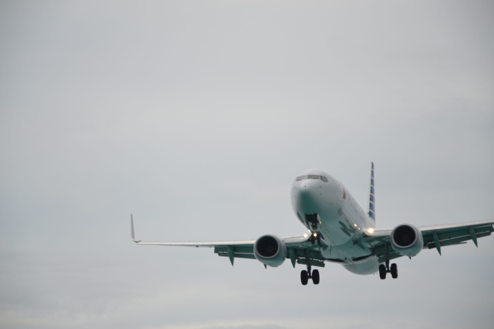 DSC_0655.jpg