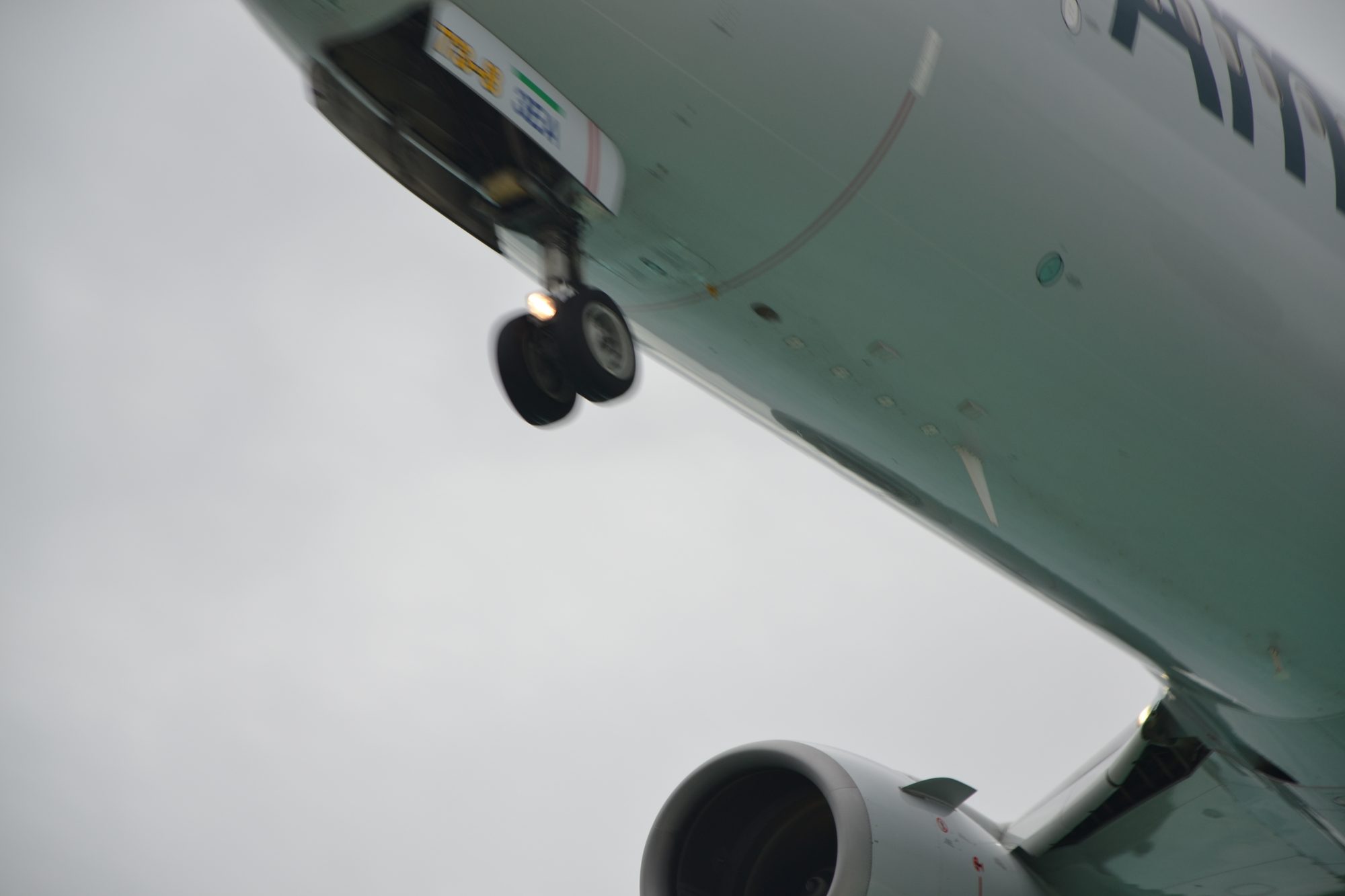 DSC_0660.jpg