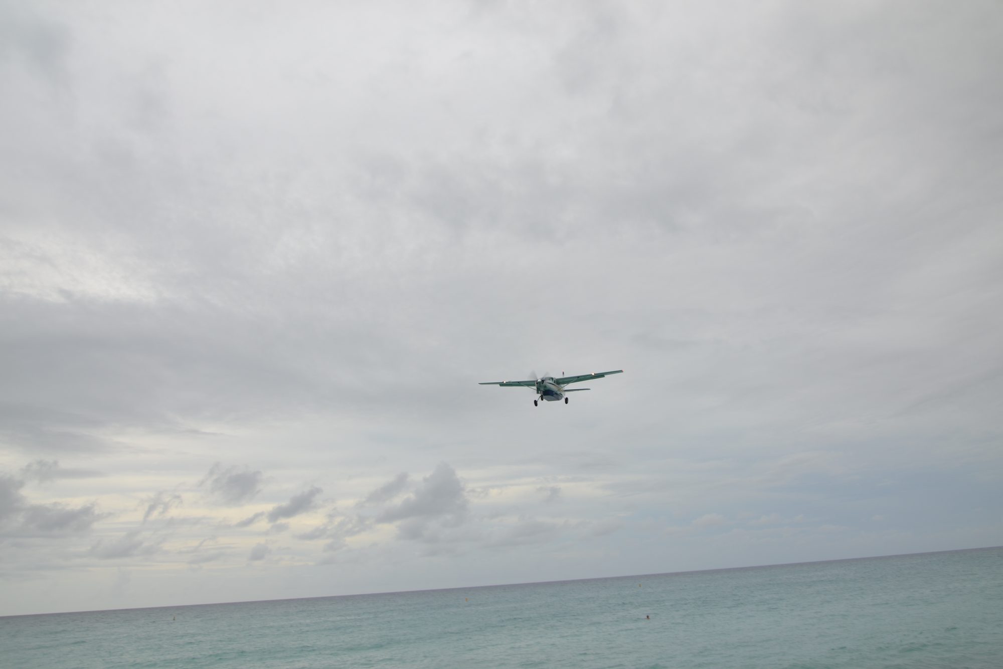 DSC_0685.jpg