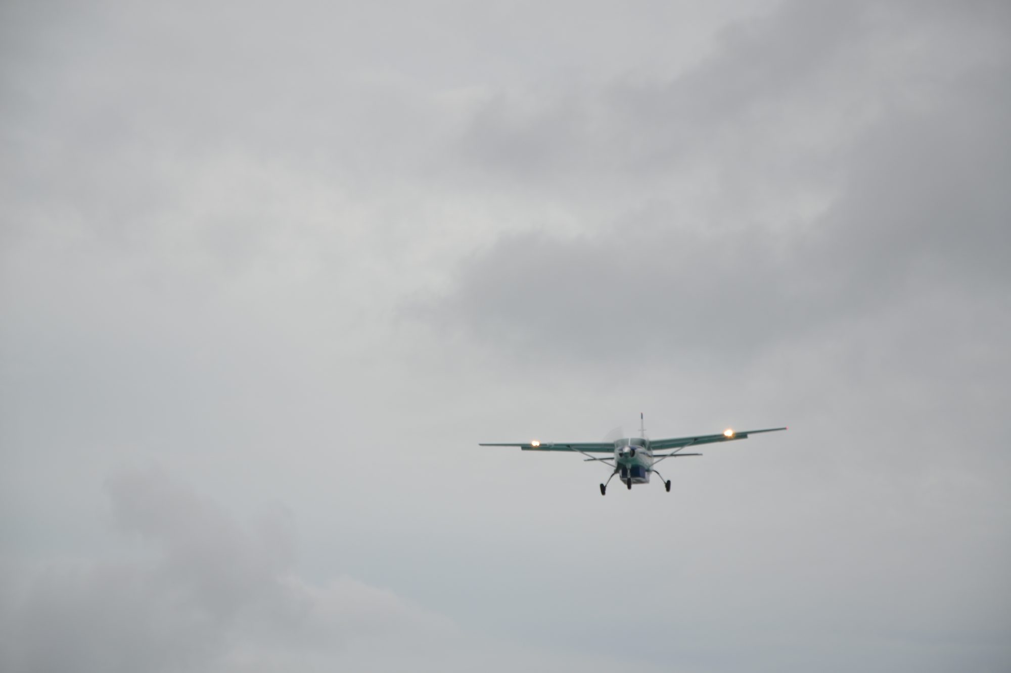 DSC_0798.jpg