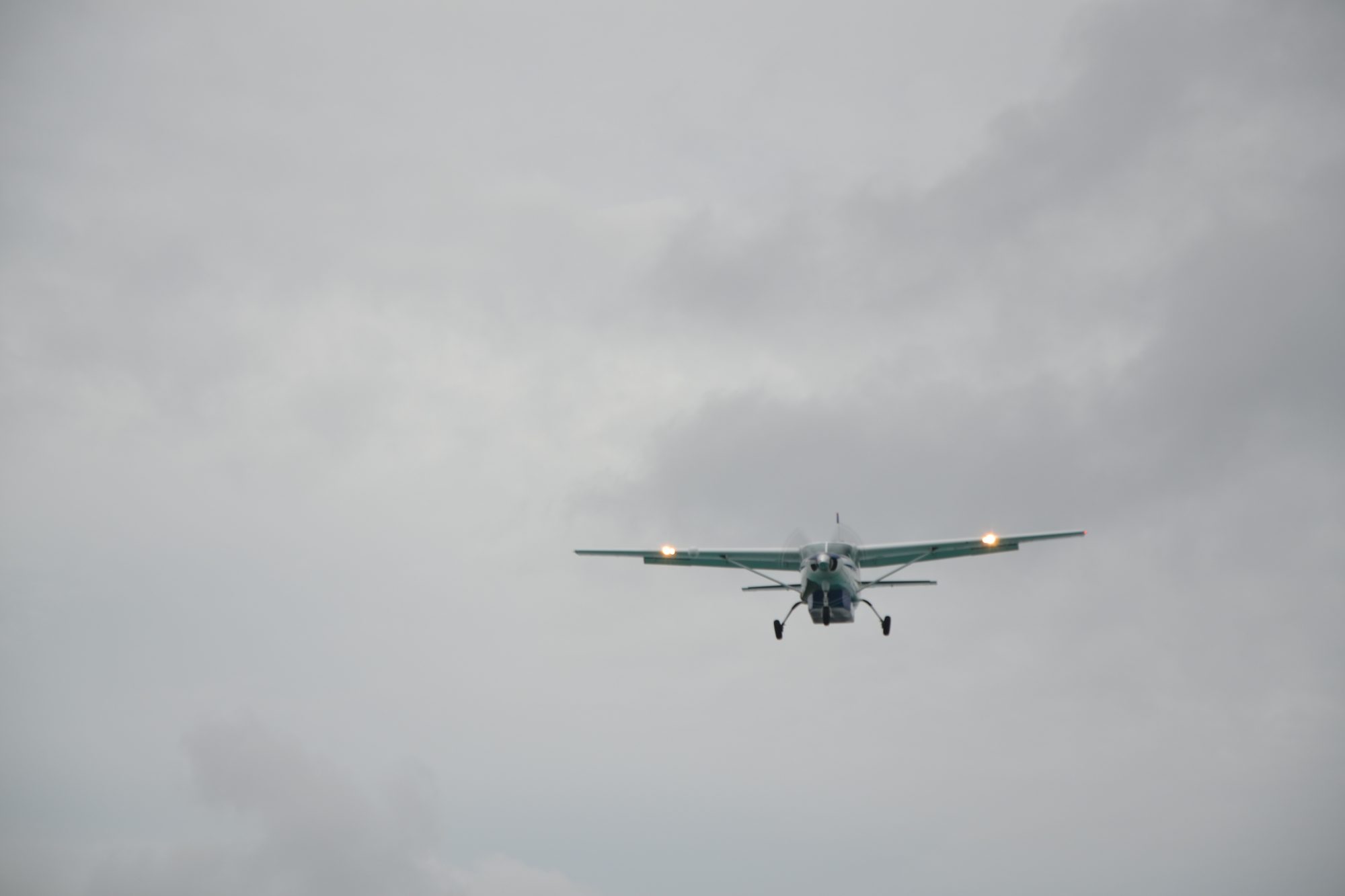 DSC_0801.jpg