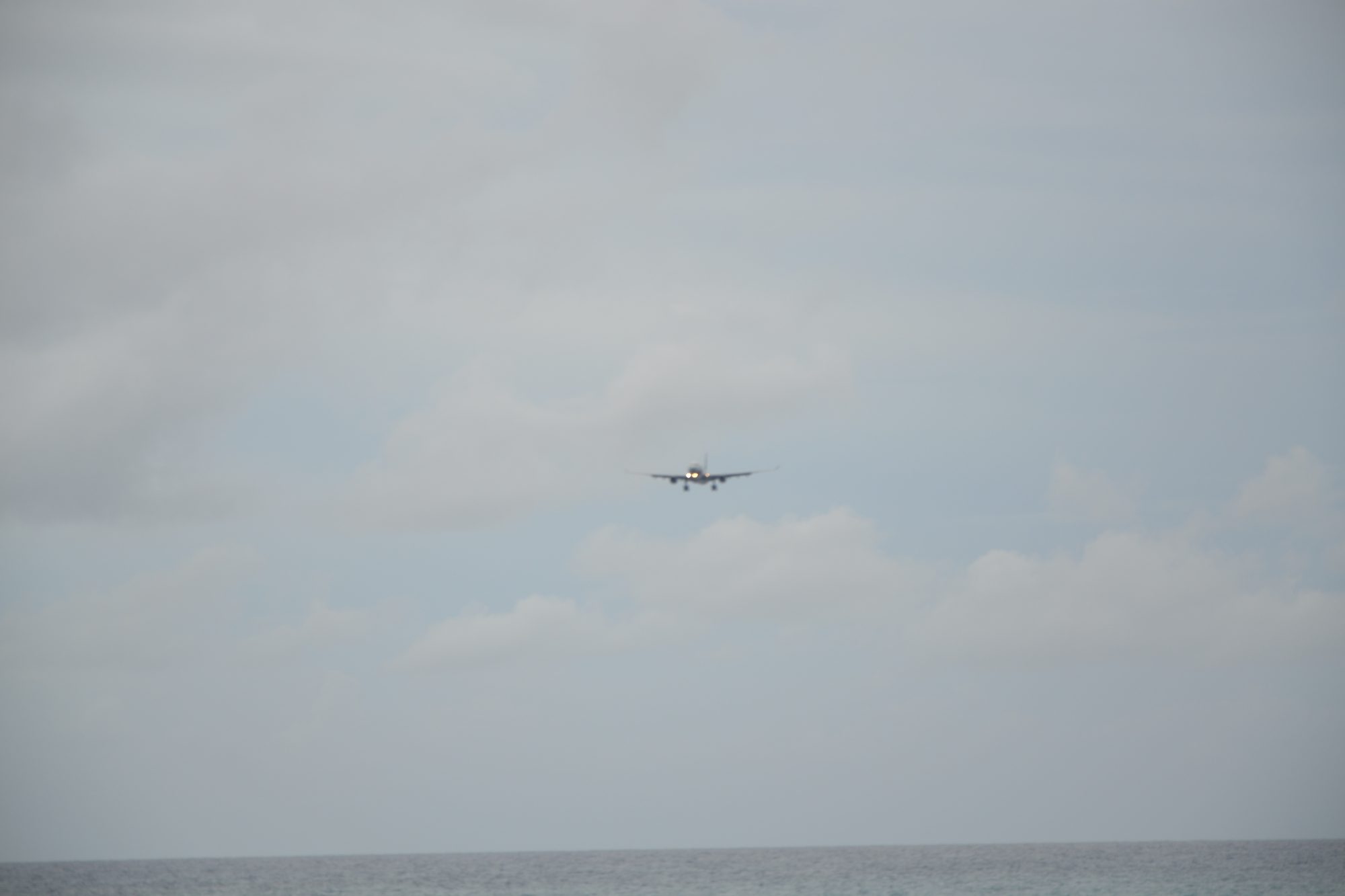 DSC_0815.jpg