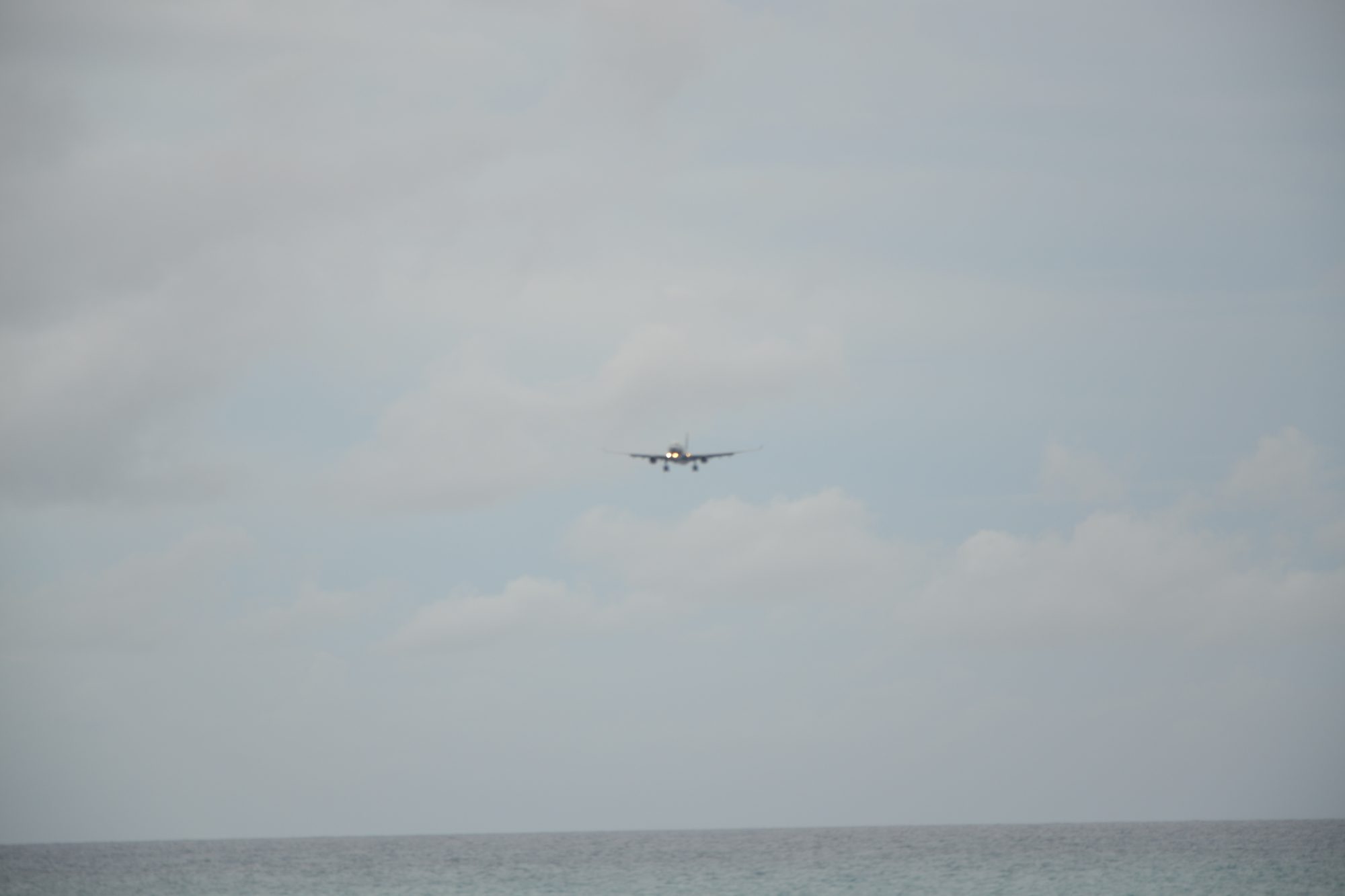 DSC_0819.jpg