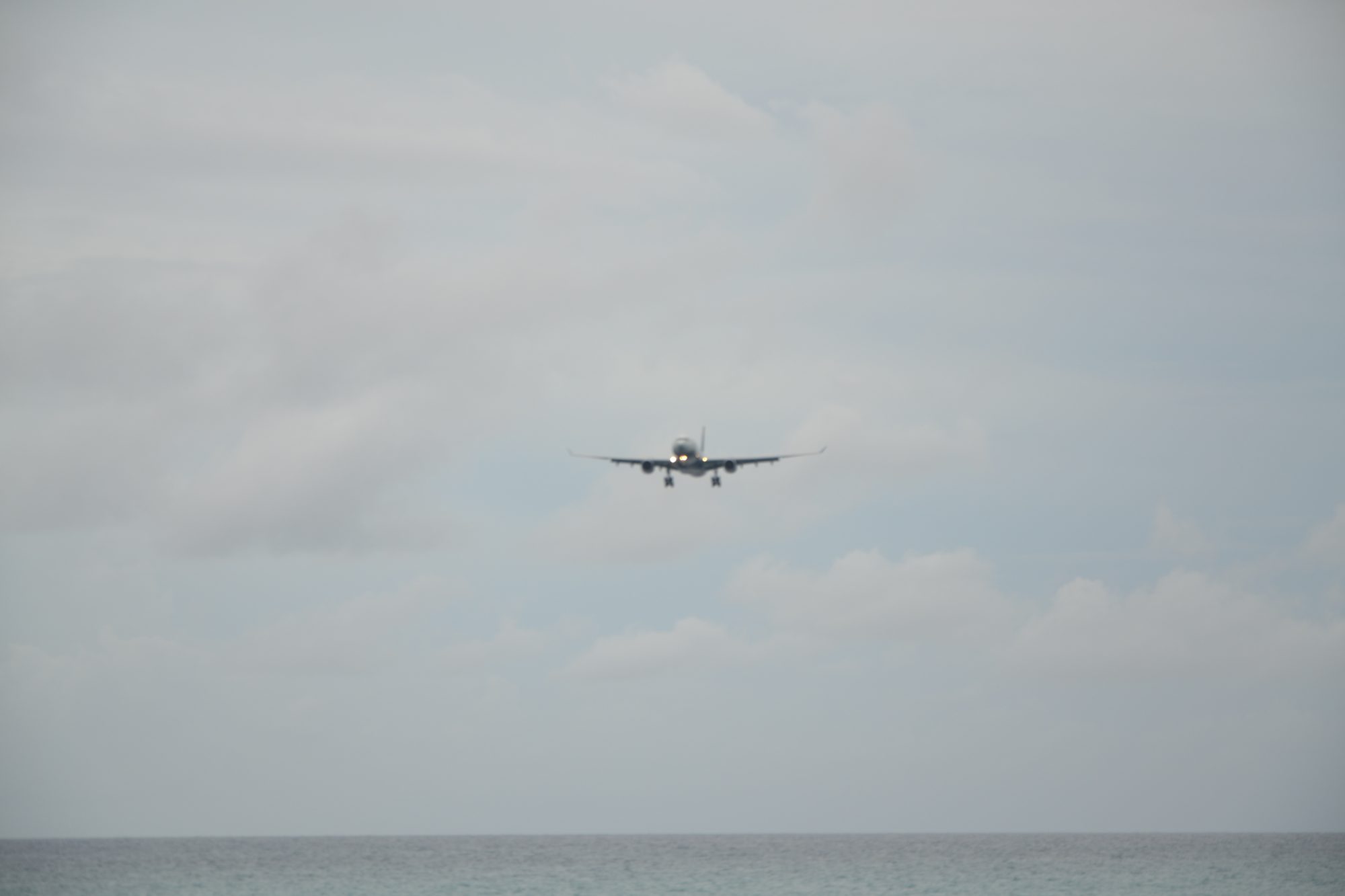DSC_0824.jpg