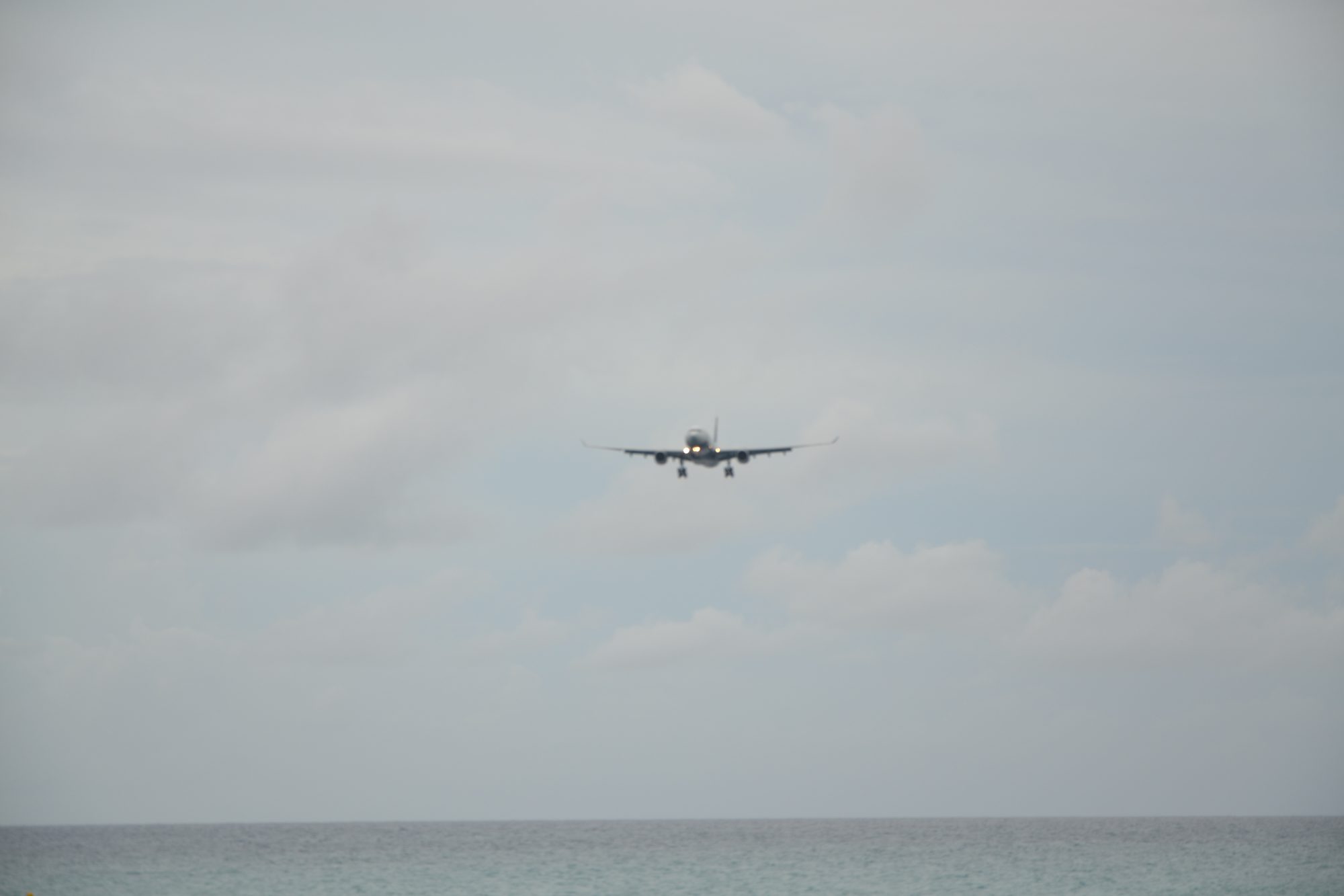 DSC_0825.jpg