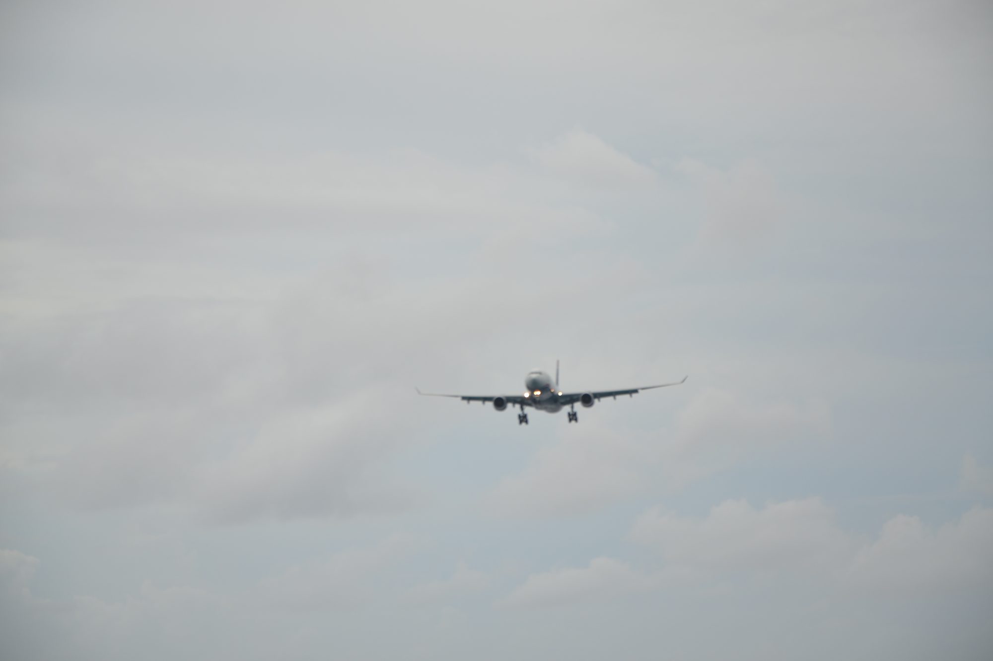 DSC_0838.jpg