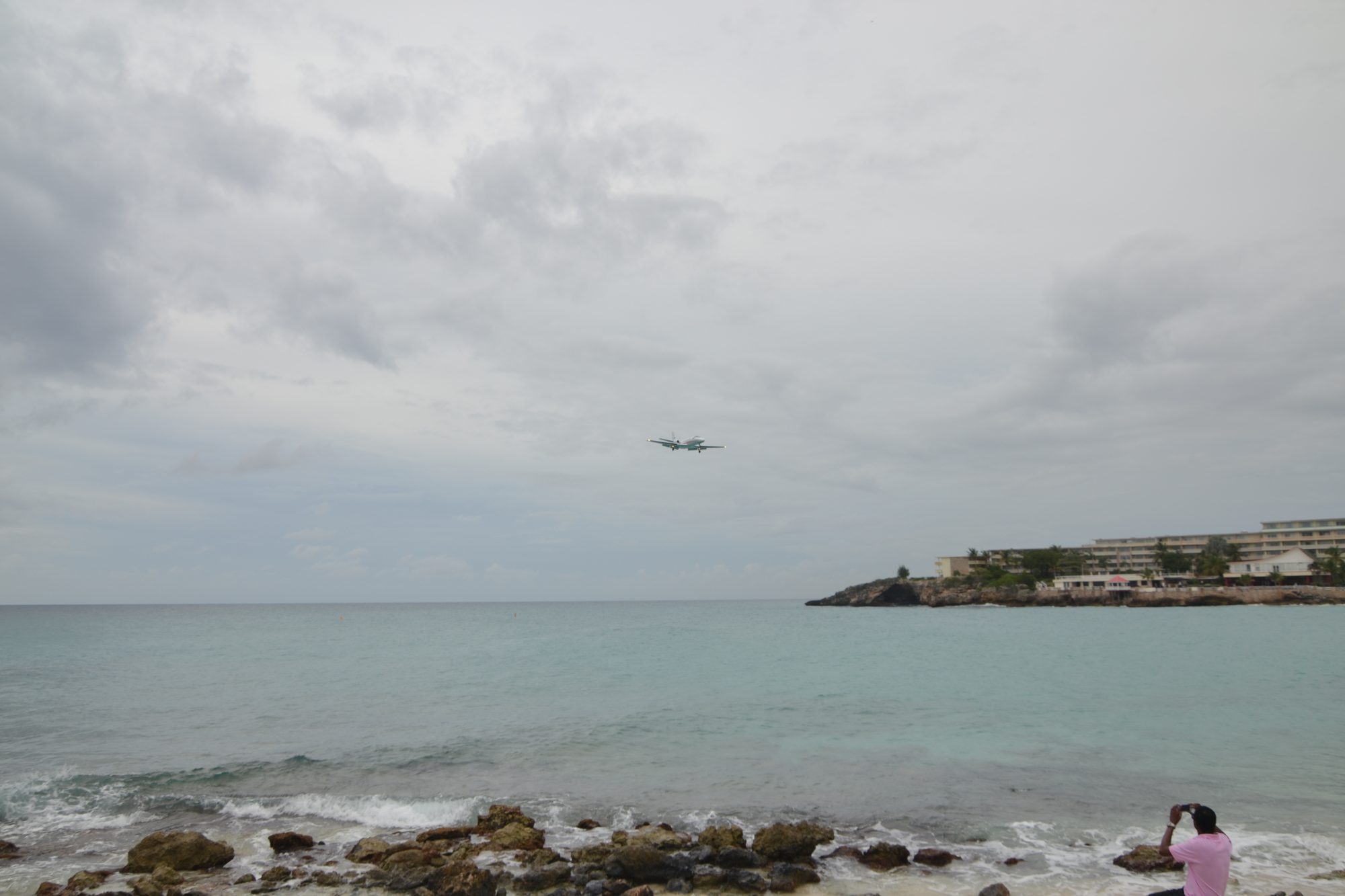 DSC_0917.jpg
