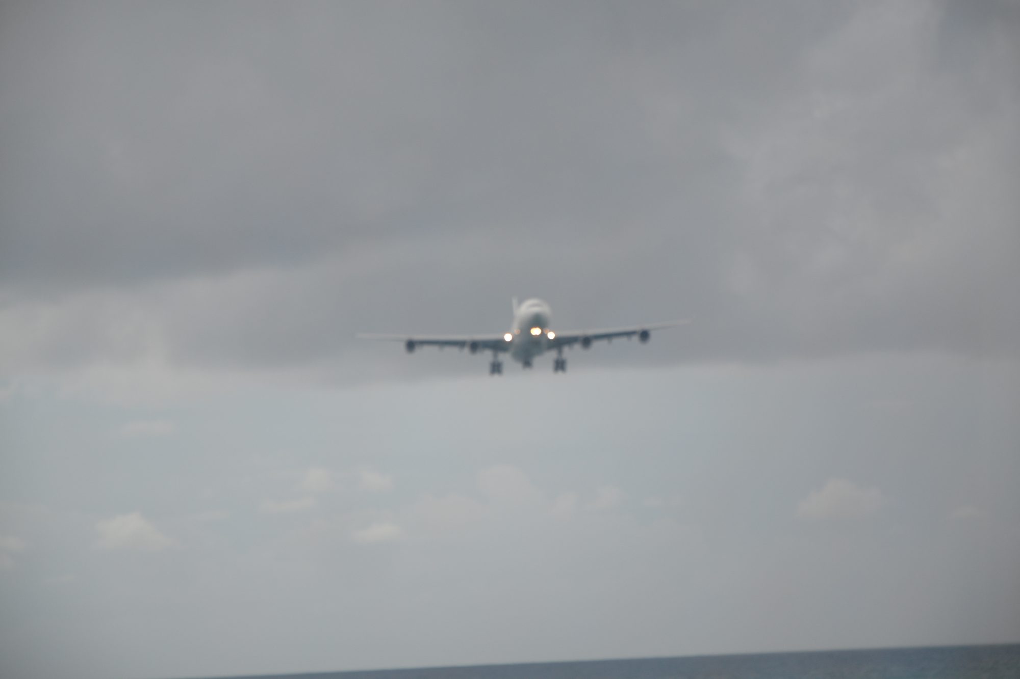 DSC_0979.jpg