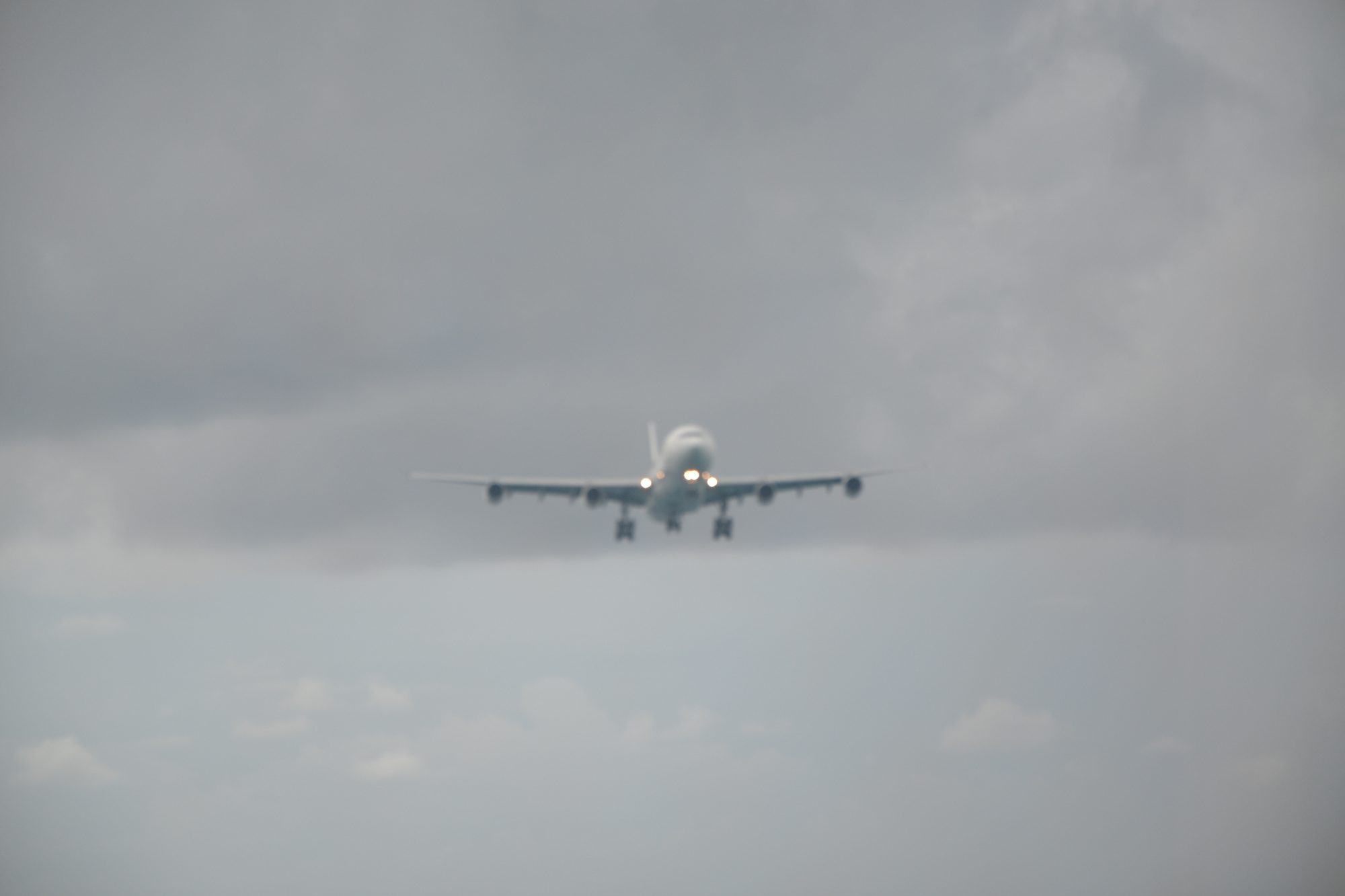 DSC_0981.jpg