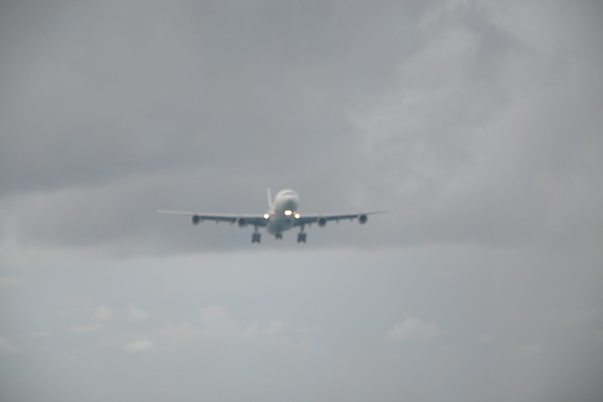 DSC_0982.jpg