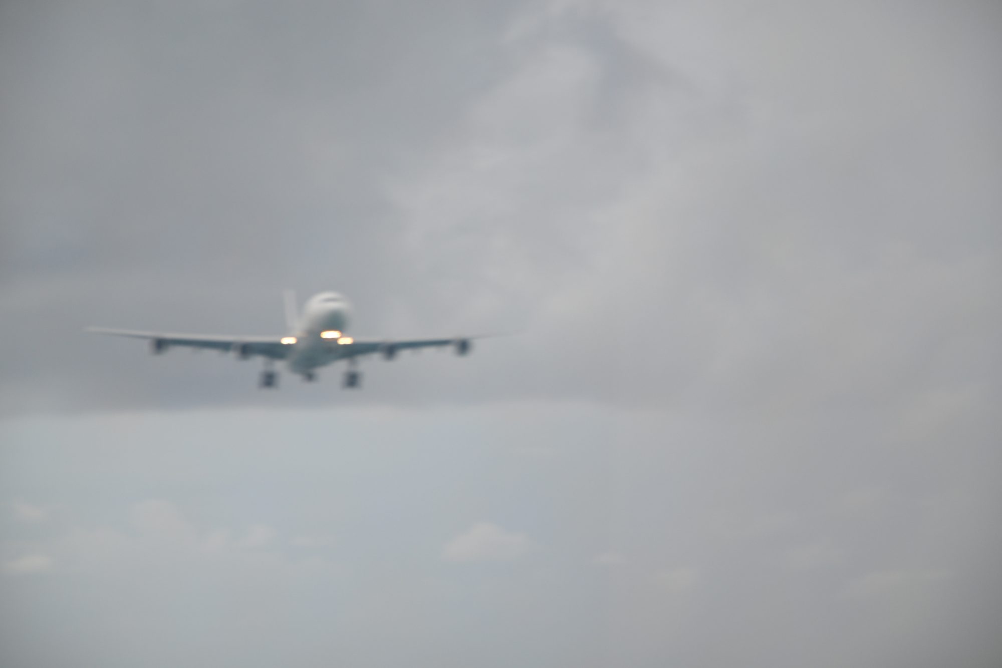 DSC_0984.jpg