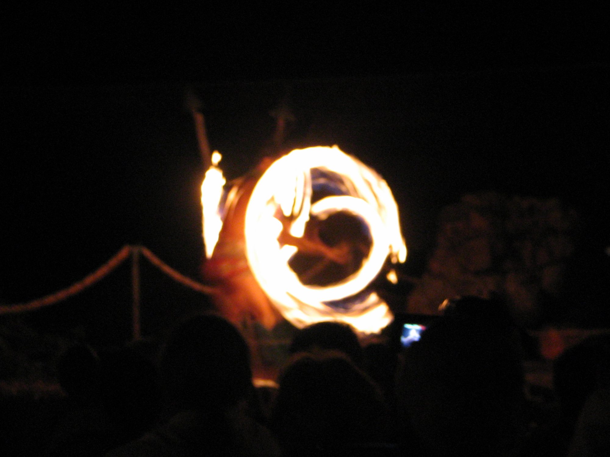 IMG_2331.jpg