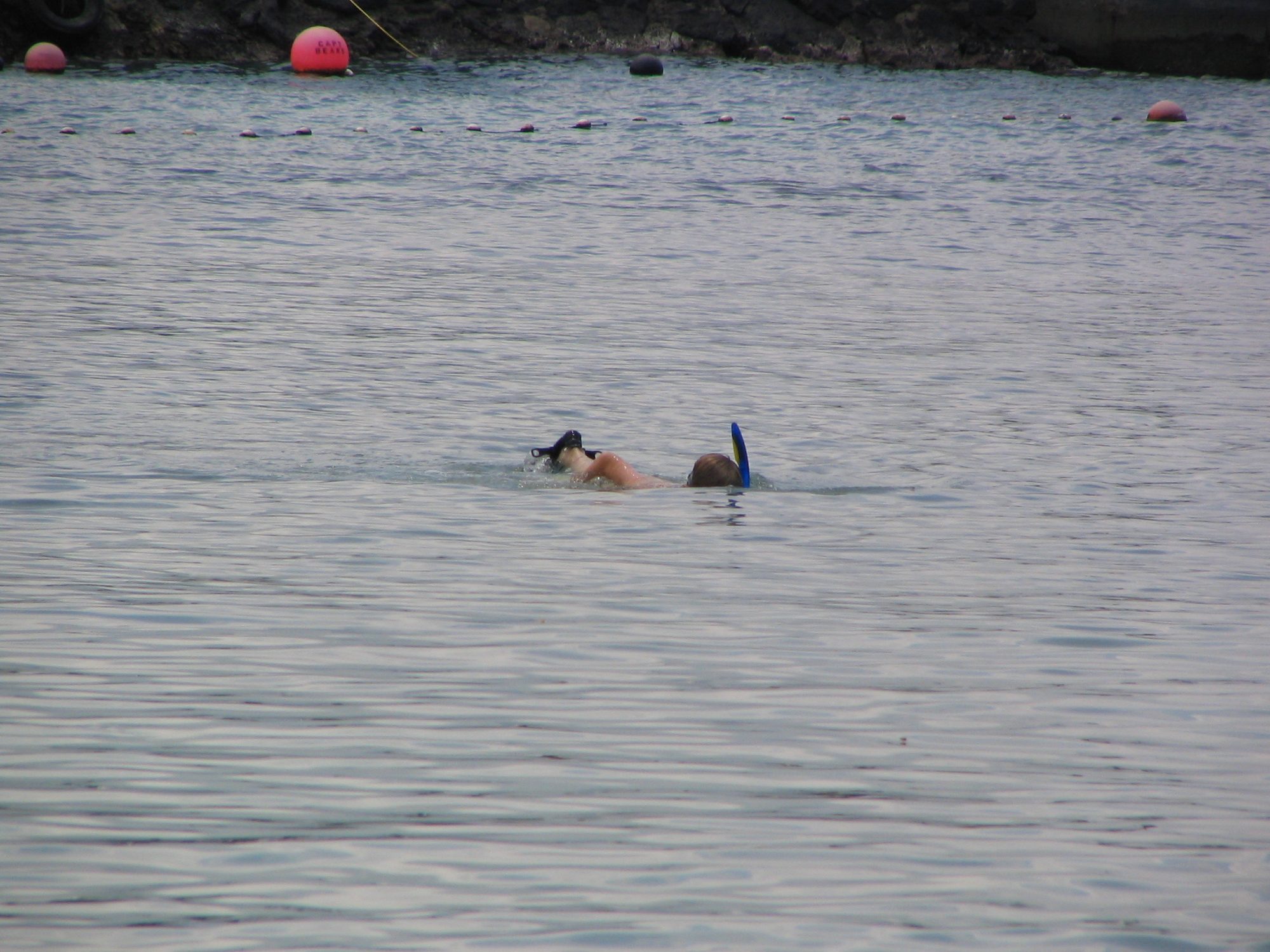 IMG_2362.jpg