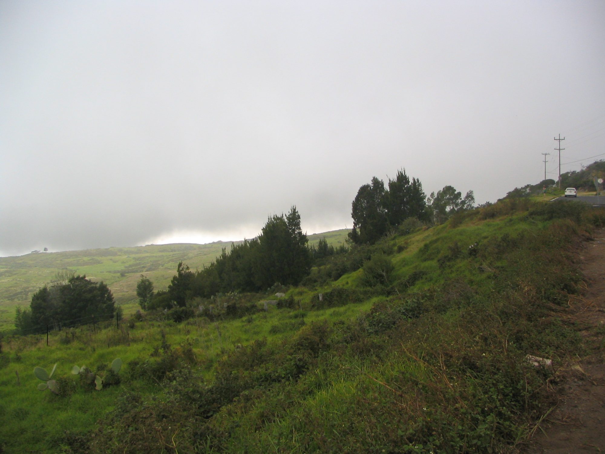 IMG_2437.jpg